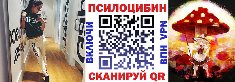 цена Вязники Псилоцибиновые грибы Psilocybine cubensis
